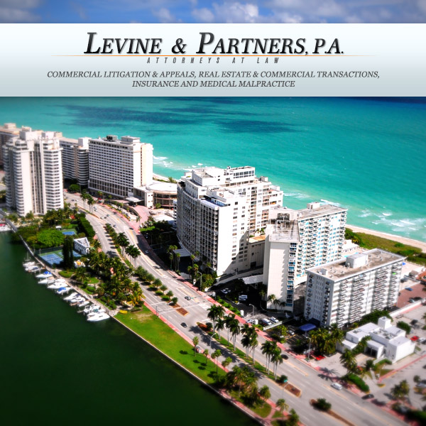 Commercial Transactions - Levine & Partners Law Firm in Miami